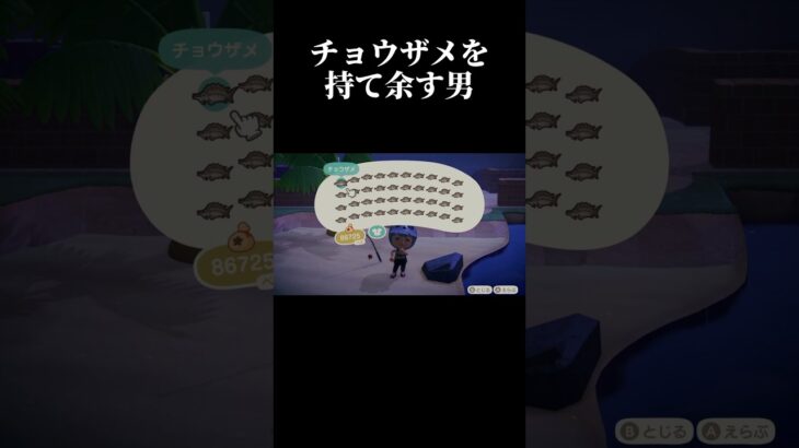 【あつ森】チョウザメがたくさん釣れました【Switch2】