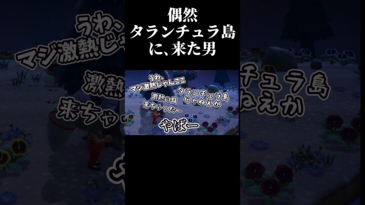 【あつ森】星に願いを。タランチュラ島で金稼ぎ【Switch2】
