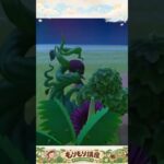 【あつ森】もりもり講座 ジャングルVer.
