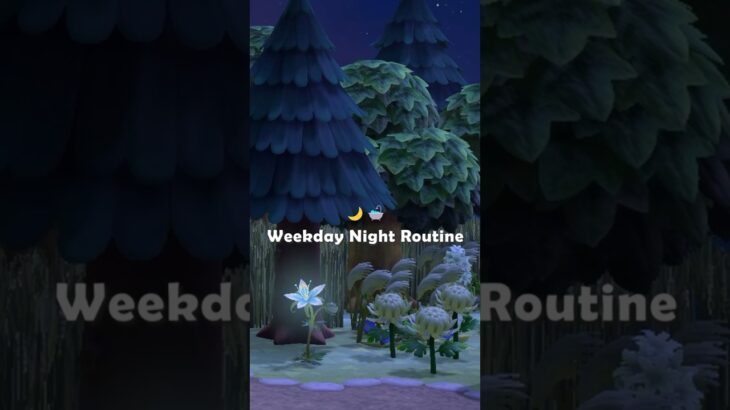 平日のナイトルーティーン。🌙🛁 【あつ森Vlog】 #animalcrossing #acnh #vlog #あつ森 #あつまれどうぶつの森