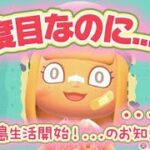【あつ森】お知らせ📣新島シリーズやります！| サクッとゆったりライフ #animalcrossing