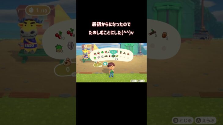 あつ森が初期化した🥴いっしょにたのしもう#あつ森#あつまれどうぶつの森　#animalcrossing