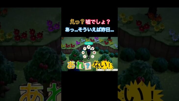 タヌキ商店のありがたさ#あつまれどうぶつの森 #あつ森#animalcrossing