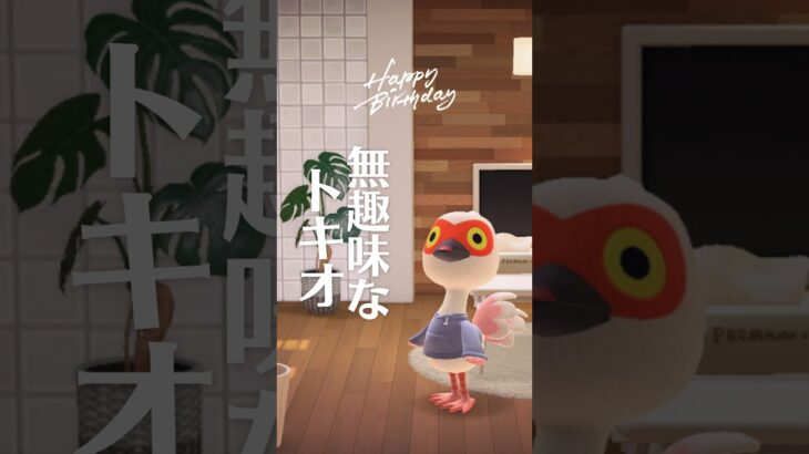 【あつ森】無趣味なトキオあつ森 #あつまれどうぶつの森 #animalcrossing