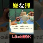さらっと失礼なたぬきち #あつ森 #あつまれどうぶつの森 #animalcrossing