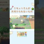 リセットさんが片付けられないもの🪏🌳#あつ森 #リセットさん #更地化　#animalcrossing #acnh