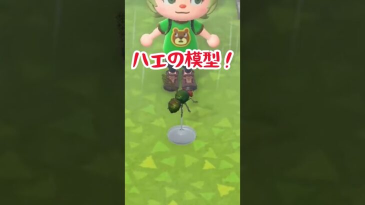 メタリック感どこいった #あつ森 #あつまれどうぶつの森 #animalcrossing #animalcrossingnewhorizons #どうぶつの森 #ゲーム#acnh #shorts