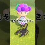 イスですか？ #あつ森 #あつまれどうぶつの森 #animalcrossing #animalcrossingnewhorizons #どうぶつの森 #ゲーム #acnh #shorts
