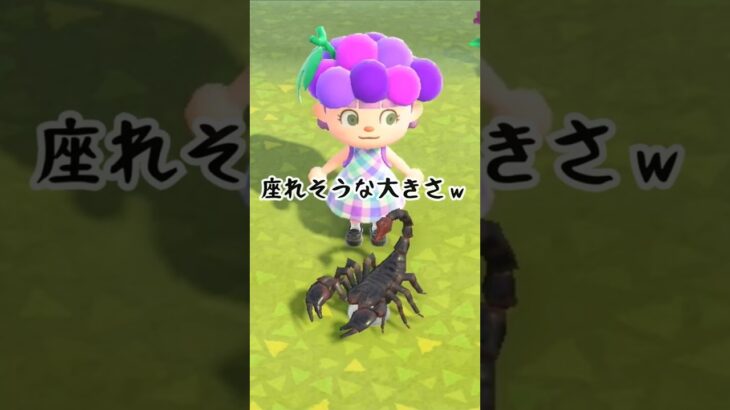 イスですか？ #あつ森 #あつまれどうぶつの森 #animalcrossing #animalcrossingnewhorizons #どうぶつの森 #ゲーム #acnh #shorts