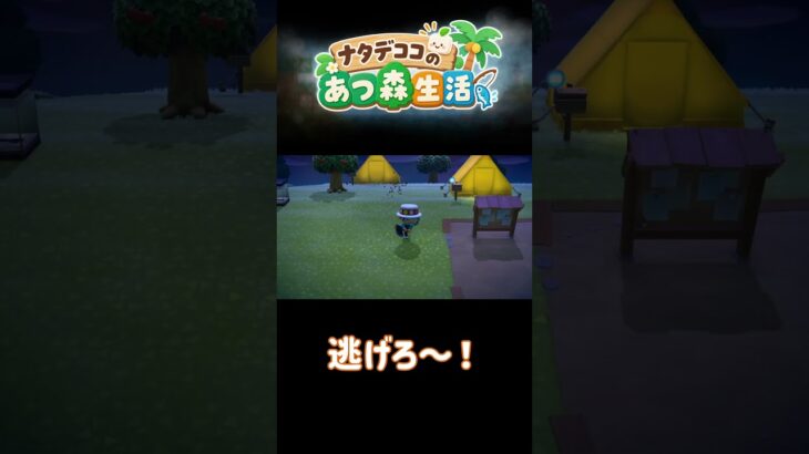昨晩のことです🐝#あつ森#あつまれどうぶつの森 #animalcrossing #shorts #short