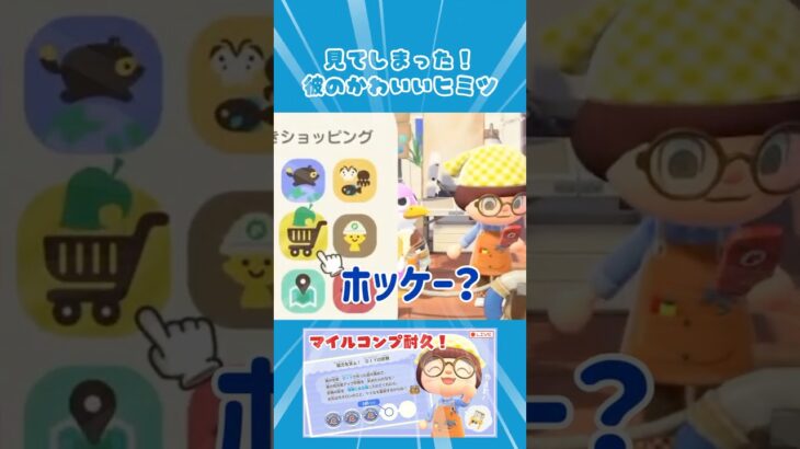 ホッケーくんのヒミツ⛑️ #あつ森 #animalcrossingnewhorizons #ACNH #観光客  #あつまれどうぶつの森 #ホッケー #ヘルメット