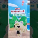 ジュンくんhappy birthday🎂　#あつ森 #nintendo #あつまれどうぶつの森 #animalcrossing #白い恋人