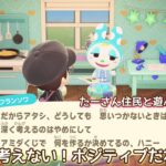 本編動画【あつ森】ポジティブが１番🤭@たーさんの趣味の部屋 #たーさん住民と遊ぶ#mochachan島