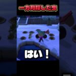 ガチ神回！！ #あつ森　#nintendo