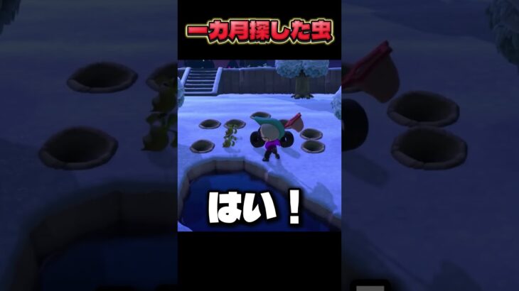 ガチ神回！！ #あつ森　#nintendo
