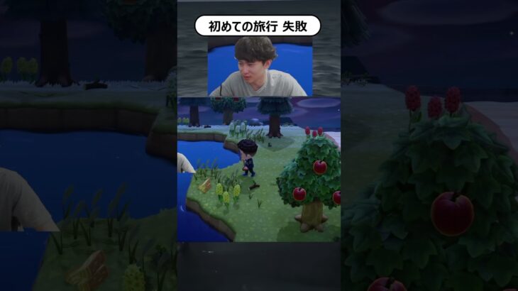 初めてのマイル旅行券にて#あつ森 #あつまれどうぶつの森 #ゲーム実況 #nintendo