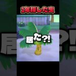 虫図鑑コンプリート！！ #あつ森#nintendo
