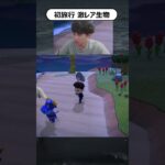 こっち側だろ流石に。#あつ森 #あつまれどうぶつの森 #ゲーム実況 #nintendo  #shorts