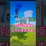【あつ森】あなたにわかりますか？part2 #あつ森 #あつまれどうぶつの森 #見極め#絵画