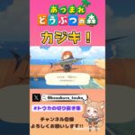 カジキ！【あつ森】 #あつ森 #あつまれどうぶつの森 #釣り #short #shorts
