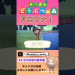 秋の気配…【あつ森】 #あつ森 #あつまれどうぶつの森 #釣り #short #shorts