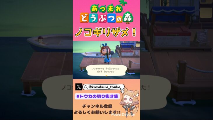 ノコギリザメ！【あつ森】 #あつ森 #あつまれどうぶつの森 #釣り #short #shorts