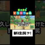 【あつ森】あつ森の日常#shorts #ゲーム配信 #あつまれどうぶつの森 #あつ森
