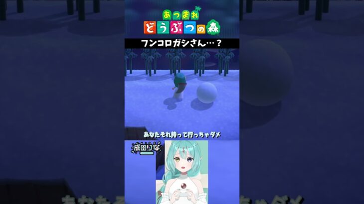 【あつ森】フンコロガシさん…？【あつまれどうぶつの森】 #shorts #あつ森