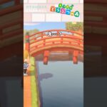 【あつ森小ネタ】そこにいるのに…？　#shorts #あつ森 #あつまれどうぶつの森