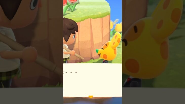 【あつ森】チーズに出会った！🧀　#shorts #あつ森