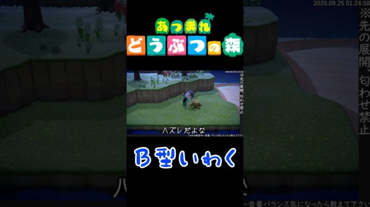 ブーメラン腹に突き刺す遊び【あつ森】【あつまれ どうぶつの森】【雑談】#shorts #ゲーム実況 #あつ森 #どうぶつの森 #あつまれどうぶつの森 #雑談