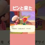 【あつ森】青も良かったかも…！ #あつ森 #あつまれどうぶつの森 #ゲーム #shorts