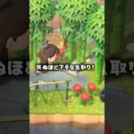 虫取りと生きる事が上手くなりたい🙂#あつ森 #shorts