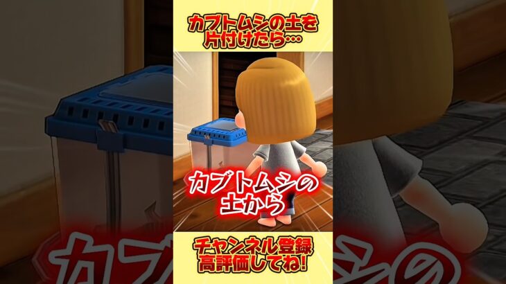 カブトムシの土を片付けたら、、# #あつ森 #あつまれどうぶつの森 #shorts