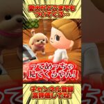 愛犬がどこまでもついてくるけど、、 #あつ森 #あつまれどうぶつの森 #shorts