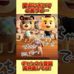 愛犬に家族全員でおいでーと言うと、、 #あつ森 #あつまれどうぶつの森 #shorts