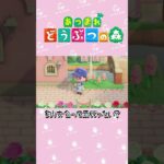【あつ森】釣り大会！？虫取り大会？！　　#shorts   #animalcrossing