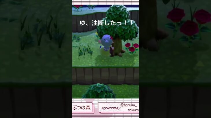 ついに連勝記録が…　#shorts #新人vtuber  #あつ森