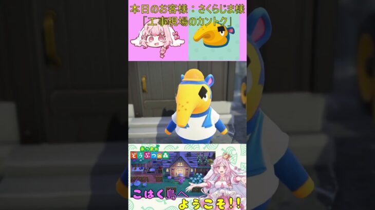 【あつ森】ハッピーホームパラダイス　１０件目　サクラジマ　#shorts  #あつ森 #vtuber #ゲーム実況