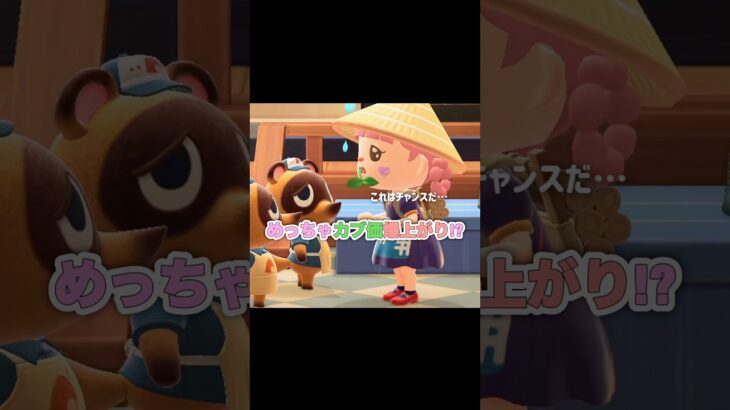 タダで貰ったカブで、まさかの大儲け…？！？！#あつ森 #どうぶつの森 #あつまれどうぶつの森 #どう森 #shortvideo #shorts #short #カブ価高騰