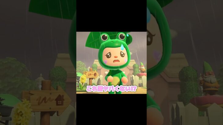 雨の日はダブルクマになるリチャードくん…？！？！#あつ森 #どうぶつの森 #あつまれどうぶつの森 #どう森 #shortvideo #shorts #short