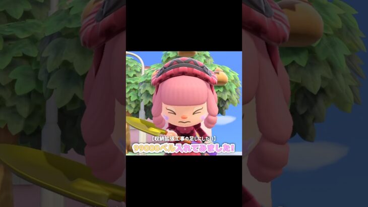 よっ！やればできる男、たぬきちさん…？！？！#あつ森#どうぶつの森 #あつまれどうぶつの森 #shortvideo #shorts #short #どう森
