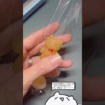 まさるのスクイーズレジン!作る〜〜〜〜!!!☺️⑧#squishy#ハンドメイド#スクイーズ#yamadanium#あつ森#greenocean#PR