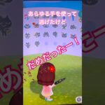 【あつ森】にげろ！ #あつまれどうぶつの森 #あつ森 #あつ森switch #あつ森ショート
