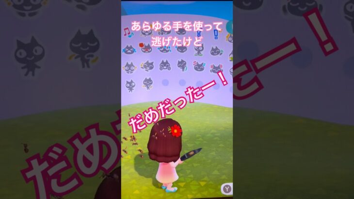 【あつ森】にげろ！ #あつまれどうぶつの森 #あつ森 #あつ森switch #あつ森ショート
