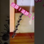 【あつ森】踊る🐜捜査線 #あつまれどうぶつの森 #あつ森 #あつ森ショート #あつ森switch #大捜査線