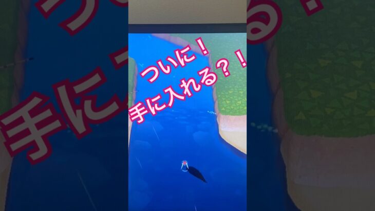 【あつ森】ついに！ゲット！ #あつまれどうぶつの森 #あつ森 #あつ森switch