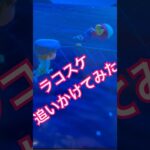 【あつ森】ラコスケの生活#あつまれどうぶつの森 #あつ森 #あつ森ショート#あつ森switch