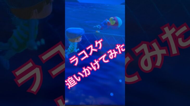 【あつ森】ラコスケの生活#あつまれどうぶつの森 #あつ森 #あつ森ショート#あつ森switch