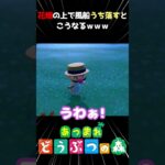 【あつ森】花畑の上で風船うつとこうなるｗｗｗ